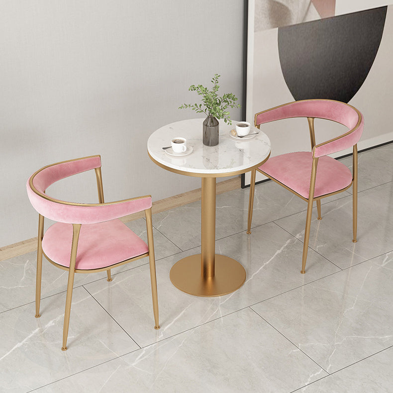Dining Room Glam Chair Gold Legs Velvet Arm Chair with Upholstered