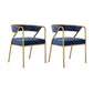Dining Room Glam Chair Gold Legs Velvet Arm Chair with Upholstered