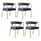 Dining Room Glam Chair Gold Legs Velvet Arm Chair with Upholstered