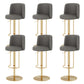 Adjustable Height Bar Stool Leather Backrest Counter Stool for Bristol Gold Dark Gray 6 Piece Set Clearhalo 'Bar Furniture' 'Bar Stools' 'bar_stools' 'furn' 'furn_bar_stools' 'Furniture' 'Kitchen & Dining Furniture' 6663545