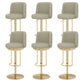 Adjustable Height Bar Stool Leather Backrest Counter Stool for Bristol Gold Light Gray 6 Piece Set Clearhalo 'Bar Furniture' 'Bar Stools' 'bar_stools' 'furn' 'furn_bar_stools' 'Furniture' 'Kitchen & Dining Furniture' 6663556