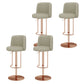 Adjustable Height Bar Stool Leather Backrest Counter Stool for Bristol Rose Gold Light Gray 4 Piece Set Clearhalo 'Bar Furniture' 'Bar Stools' 'bar_stools' 'furn' 'furn_bar_stools' 'Furniture' 'Kitchen & Dining Furniture' 6663591