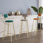 Contemporary Low Back Barstools Round Bar Stool with Metal Legs
