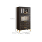 Contemporary Black Chest Glass Paned Accent Cabinet with Drawer Clearhalo 'Cabinets & Chests' 'cabinets_chests' 'furn' 'furn_cabinets_chests' 'Furniture' 'Living Room Furniture' 6671860
