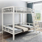 Contemporary Metal Bed 82.67" Tall Open-Frame Bed in Black/White