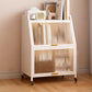 Closed Back Steel Bookcase Standard Glam Bookshelf with Doors
