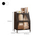 Closed Back Steel Bookcase Standard Glam Bookshelf with Doors