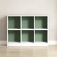 Contemporary Closed Back Bookcase Standard Wooden Bookshelf with Shelves