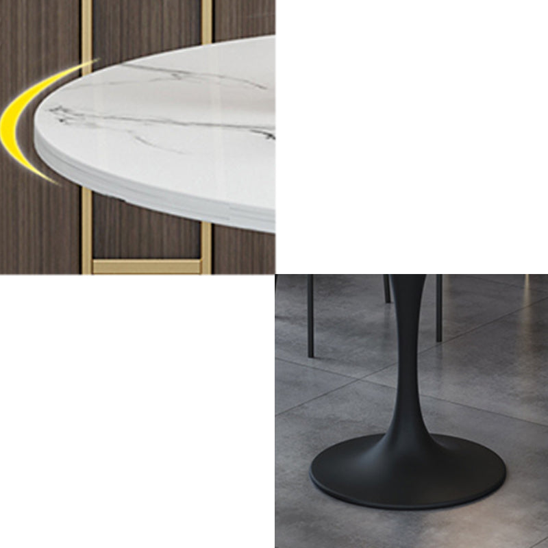 Modern Stone Round Dining Table Tulip Pedestal Table for Dining Room Clearhalo 'Dining Tables & Seating' 'Dining Tables' 'dining_table' 'furn' 'furn_dining_table' 'Furniture' 'Kitchen & Dining Furniture' 6677632