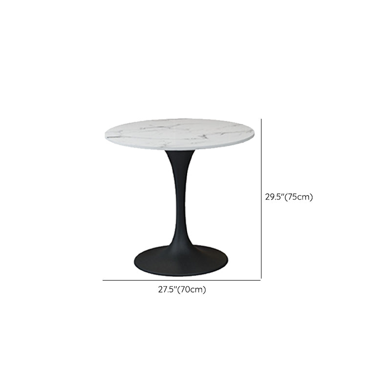 Modern Stone Round Dining Table Tulip Pedestal Table for Dining Room Clearhalo 'Dining Tables & Seating' 'Dining Tables' 'dining_table' 'furn' 'furn_dining_table' 'Furniture' 'Kitchen & Dining Furniture' 6677635