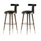Glam Upholstered Bar Stool Glam Backrest Counter Stool for Bristol Atrovirens 2 Piece Set Clearhalo 'Bar Furniture' 'Bar Stools' 'bar_stools' 'furn' 'furn_bar_stools' 'Furniture' 'Kitchen & Dining Furniture' 6686307