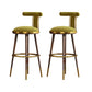 Glam Upholstered Bar Stool Glam Backrest Counter Stool for Bristol Light Green 2 Piece Set Clearhalo 'Bar Furniture' 'Bar Stools' 'bar_stools' 'furn' 'furn_bar_stools' 'Furniture' 'Kitchen & Dining Furniture' 6686324