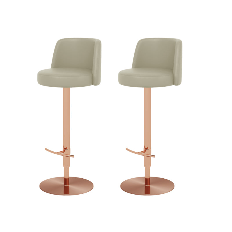 Adjustable Swivel Bar Stool Leather Backrest Counter Stool for Bristol Rose Gold Light Gray 2 Piece Set Clearhalo 'Bar Furniture' 'Bar Stools' 'bar_stools' 'furn' 'furn_bar_stools' 'Furniture' 'Kitchen & Dining Furniture' 6687126