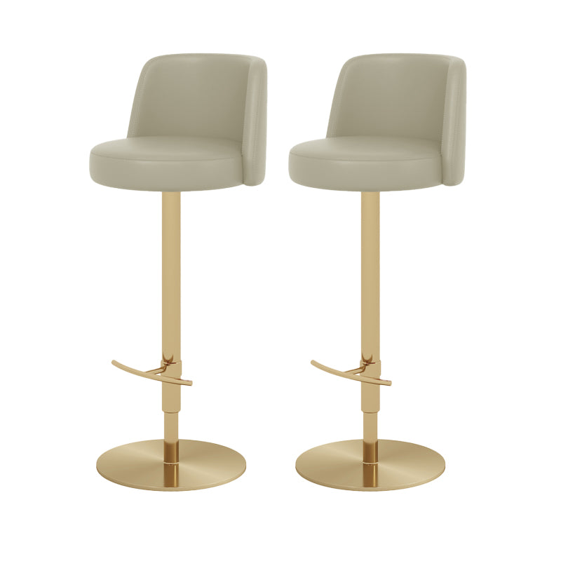 Adjustable Swivel Bar Stool Leather Backrest Counter Stool for Bristol Gold Light Gray 2 Piece Set Clearhalo 'Bar Furniture' 'Bar Stools' 'bar_stools' 'furn' 'furn_bar_stools' 'Furniture' 'Kitchen & Dining Furniture' 6687131