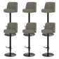 Adjustable Swivel Bar Stool Leather Backrest Counter Stool for Bristol Black Dark Gray 6 Piece Set Clearhalo 'Bar Furniture' 'Bar Stools' 'bar_stools' 'furn' 'furn_bar_stools' 'Furniture' 'Kitchen & Dining Furniture' 6687158