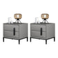 Modern Bed Nightstand Leather Bedside Cabinet with 2 Drawers