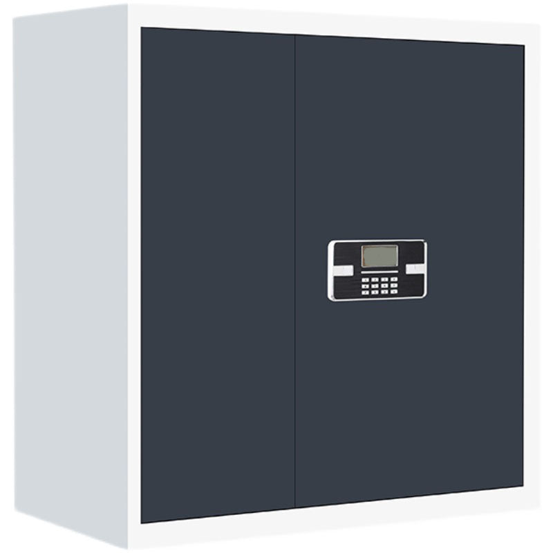 Archivo contemporáneo Babyet Marco de acero Archivo vertical resistente al fuego con bloqueo