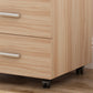 Industrial Cabinet Wood Locking Drawers and Storage Filing Cabinet with Wheels Clearhalo 'Filing Cabinets' 'filling_cabinets' 'furn' 'furn_filling_cabinets' 'Furniture' 'Office Furniture' 6704243