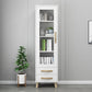 Closed Back Engineered Wood Bookshelf Standard Contemporary Bookcase