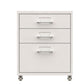 Contemporary Steel Filing Cabinet File Pedestal File Cabinet with Drawers Clearhalo 'Filing Cabinets' 'filling_cabinets' 'furn' 'furn_filling_cabinets' 'Furniture' 'Office Furniture' 6719375