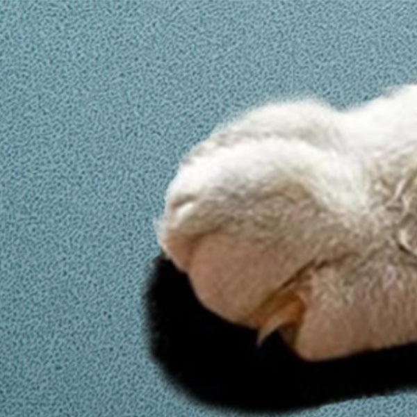 Scandinavian Solid Color Standard (No Motion) Single Ergonimic Recliner