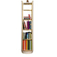 Standard Closed Back Bookshelf Glam Plastic Bookcase with Shelves