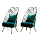 Glam Style Metal Chair Fixed Back Solid Color 4 Legs Armless Chair Blackish Green Velvet 2 Piece Set Clearhalo 'Accent Chairs' 'accent_chairs' 'Chairs & Seating' 'furn' 'furn_accent_chairs' 'Furniture' 'Living Room Furniture' 6736825