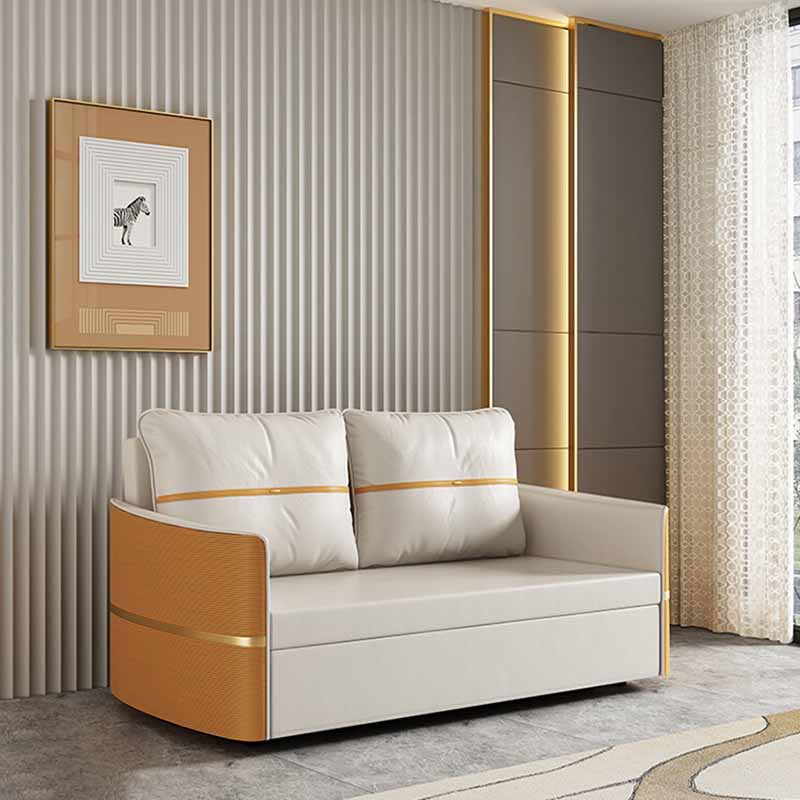 Faux Leather Convertible Sofa Bed with Pillows Seating with Storage Clearhalo 'furn' 'furn_sofas' 'Furniture' 'Living Room Furniture' 'Sofa' 'sofas' 6737302