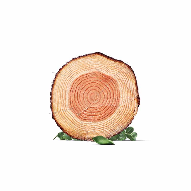 Divano braccio ad incasso di colore del divano stazionario moderno per soggiorno per soggiorno