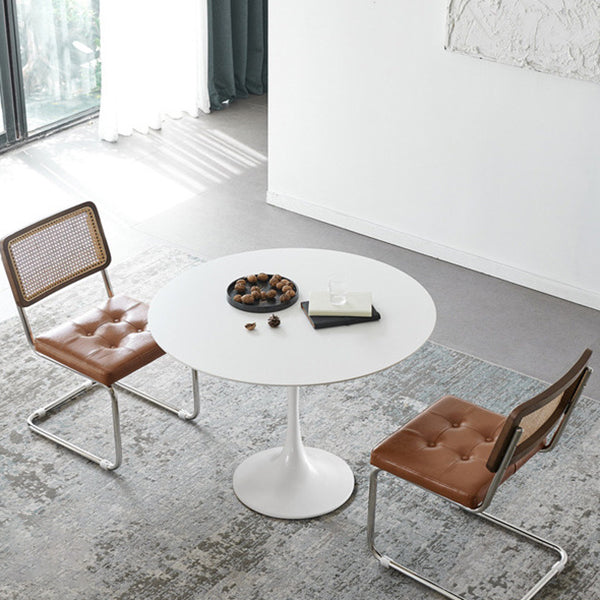 Modern Tulip Pedestal White Dining Table Stone Table for Kitchen 23.6"L x 23.6"W x 29.5"H Without Chairs Clearhalo 'Dining Tables & Seating' 'Dining Tables' 'dining_table' 'furn' 'furn_dining_table' 'Furniture' 'Kitchen & Dining Furniture' 6739266