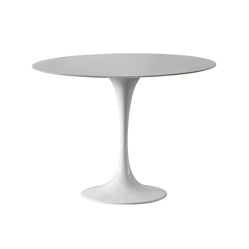 Modern Tulip Pedestal White Dining Table Stone Table for Kitchen Clearhalo 'Dining Tables & Seating' 'Dining Tables' 'dining_table' 'furn' 'furn_dining_table' 'Furniture' 'Kitchen & Dining Furniture' 6739270