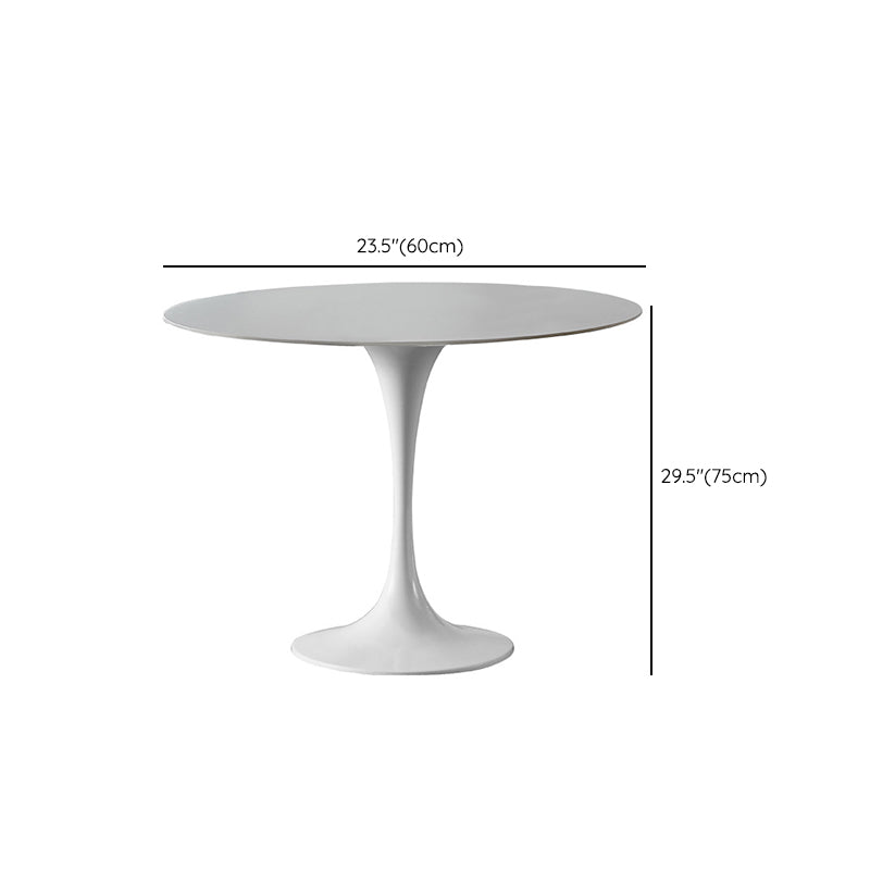 Modern Tulip Pedestal White Dining Table Stone Table for Kitchen Clearhalo 'Dining Tables & Seating' 'Dining Tables' 'dining_table' 'furn' 'furn_dining_table' 'Furniture' 'Kitchen & Dining Furniture' 6739276