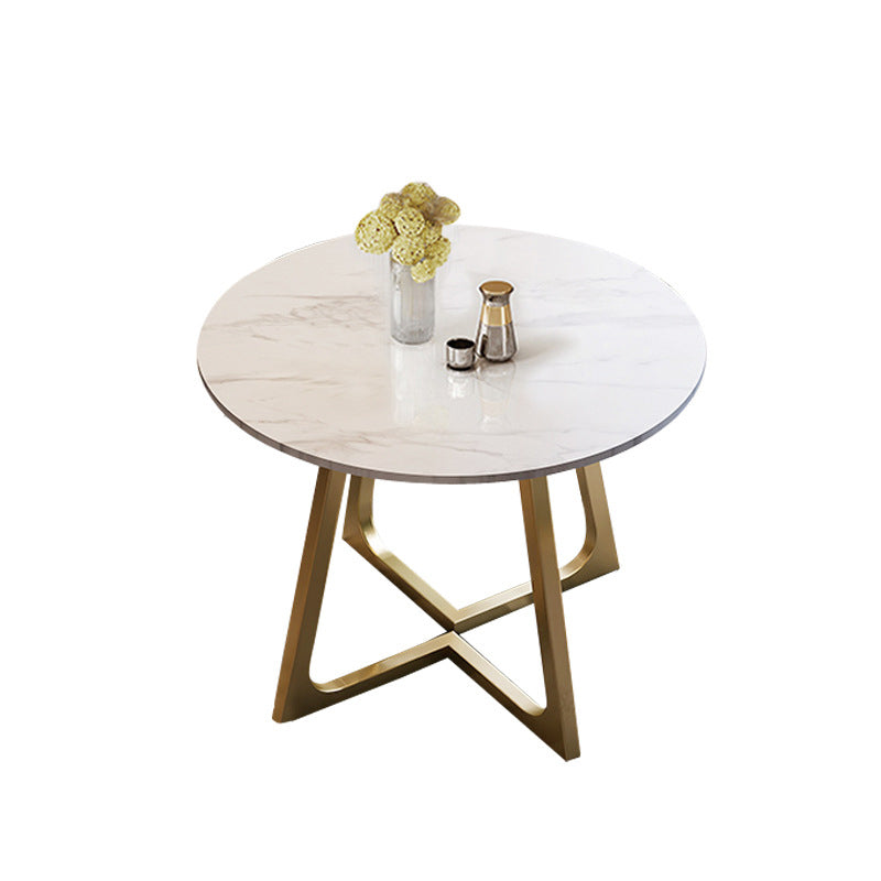 Glam Stone Round Dining Table Double Pedestal Table for Dining Room Without Chairs Clearhalo 'Dining Tables & Seating' 'Dining Tables' 'dining_table' 'furn' 'furn_dining_table' 'Furniture' 'Kitchen & Dining Furniture' 6739501