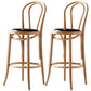 Modern Style Bar Stool Backrest Solid Wood Counter Stool for Bristol Natural Wood Black 2 Piece Set Clearhalo 'Bar Furniture' 'Bar Stools' 'bar_stools' 'furn' 'furn_bar_stools' 'Furniture' 'Kitchen & Dining Furniture' 6746398