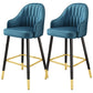Bucket Dining Stool Contemporary Armed Bar Stool with Cushion Navy Blue 2 Piece Set Clearhalo 'Bar Furniture' 'Bar Stools' 'bar_stools' 'furn' 'furn_bar_stools' 'Furniture' 'Kitchen & Dining Furniture' 6746476