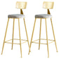 Metal Low Back Dining Stools Glam Armless Bar Stools with Gold Metal Base Dark Gray 2 Piece Set Clearhalo 'Bar Furniture' 'Bar Stools' 'bar_stools' 'furn' 'furn_bar_stools' 'Furniture' 'Kitchen & Dining Furniture' 6746800
