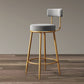 Industrial Velvet Counter & Bar Stools Matte Finish Indoor Stools Gray 1 Piece Clearhalo 'Bar Furniture' 'Bar Stools' 'bar_stools' 'furn' 'furn_bar_stools' 'Furniture' 'Kitchen & Dining Furniture' 6747503