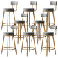 Industrial Velvet Counter & Bar Stools Matte Finish Indoor Stools Gray 8 Piece Set Clearhalo 'Bar Furniture' 'Bar Stools' 'bar_stools' 'furn' 'furn_bar_stools' 'Furniture' 'Kitchen & Dining Furniture' 6747507