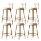 Industrial Velvet Counter & Bar Stools Matte Finish Indoor Stools White 6 Piece Set Clearhalo 'Bar Furniture' 'Bar Stools' 'bar_stools' 'furn' 'furn_bar_stools' 'Furniture' 'Kitchen & Dining Furniture' 6747515