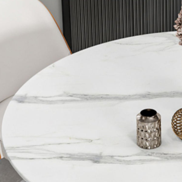 Glam Stone Round Dining Table with Pedestal Table for Dining Room