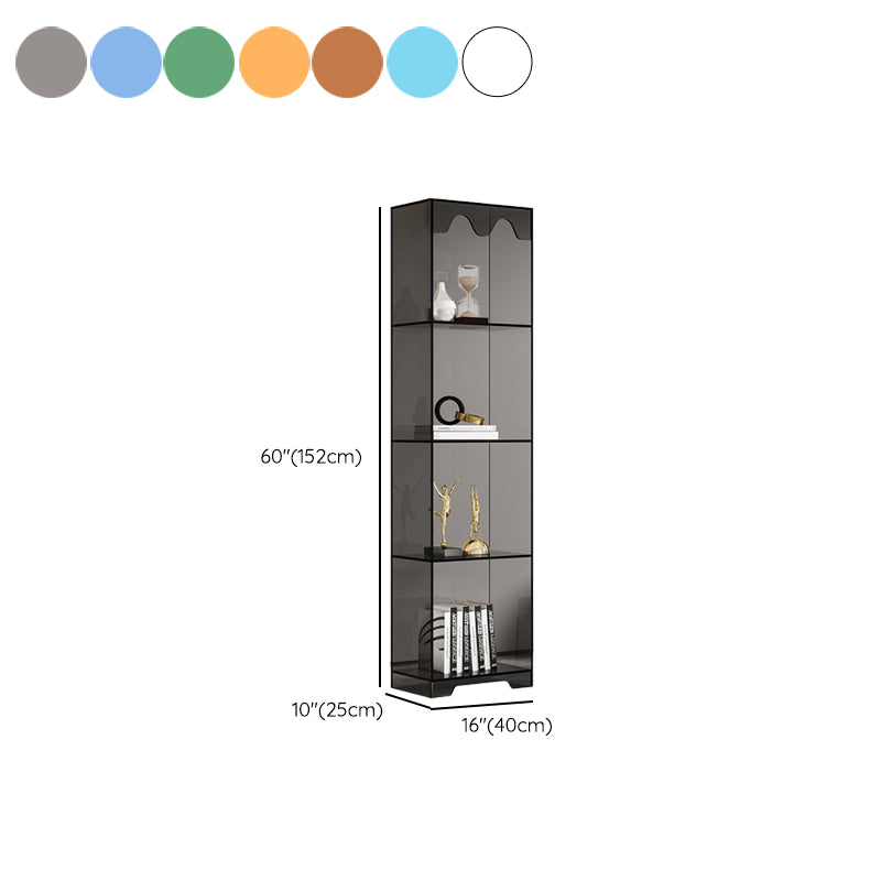 Acrylic Standard Bookshelf Closed Back Glam Bookcase with Shelves