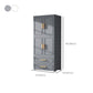 Hinged Wardrobe Cabinet Modern Plastic Storage Cabinet for Home