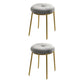 Velvet Upholstered Ottoman Velvet Colored Flower Shape Metal Frame Ottoman Grey 2 Piece Set Clearhalo 'furn' 'furn_ottomans_poufs' 'Furniture' 'Living Room Furniture' 'Ottomans & Poufs' 'ottomans_poufs' 6755993