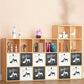 Closed Back Standard Bookcase Contemporary Engineered Wood Bookshelf