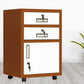 Contemporary File Cabinets Steel Frame Filing Cabinets with Key Lock for Office Coffee-White 2 Clearhalo 'Filing Cabinets' 'filling_cabinets' 'furn' 'furn_filling_cabinets' 'Furniture' 'Office Furniture' 6759560