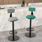 Modern Adjustable Height Bar Stools Matte Finish Indoor Stools