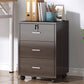 Nordic Style Vertical File Cabinet Wood Filing Cabinet for Home Office Brown 3 Door Not Included Clearhalo 'Filing Cabinets' 'filling_cabinets' 'furn' 'furn_filling_cabinets' 'Furniture' 'Office Furniture' 6777531