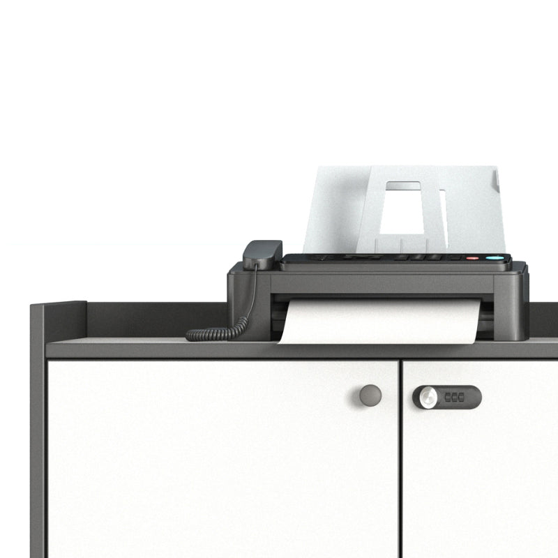 Mobile moderno mobile verticale mobile in metallo con archiviazione di bloccaggio