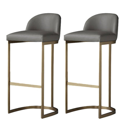 Bucket Bar Stool Contemporary Low Back Dining Stool with Footrest Gray 2 Piece Set Clearhalo 'Bar Furniture' 'Bar Stools' 'bar_stools' 'furn' 'furn_bar_stools' 'Furniture' 'Kitchen & Dining Furniture' 6794420