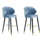 Glam Backrest Bar Stool Upholstered Counter Stool for Bristol with Wooden Legs Blue 2 Piece Set Clearhalo 'Bar Furniture' 'Bar Stools' 'bar_stools' 'furn' 'furn_bar_stools' 'Furniture' 'Kitchen & Dining Furniture' 6794541